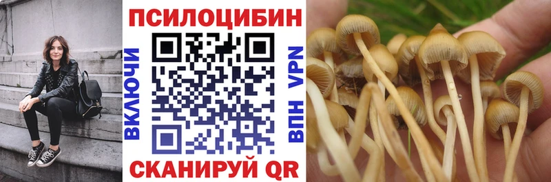 что такое   Сельцо  Галлюциногенные грибы GOLDEN TEACHER 